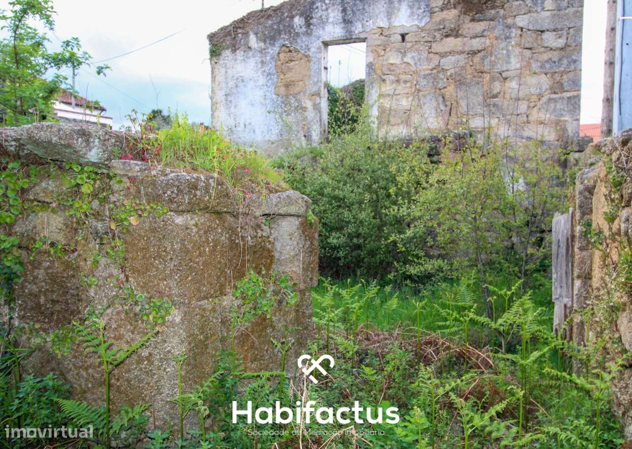 Moradia em ruinas para recuperar - Tondela - Grande imagem: 5/9