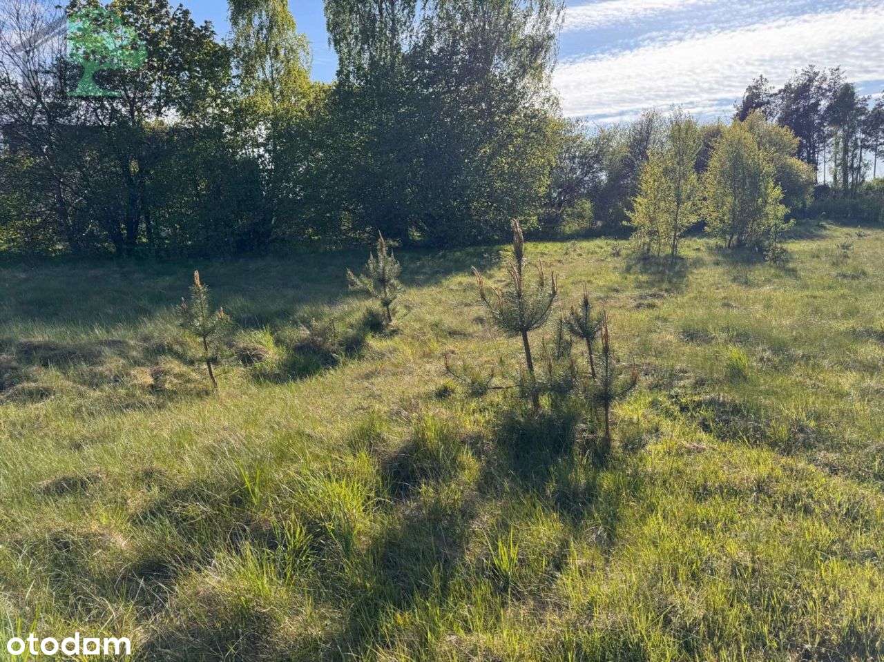 Działka budowlana w Sikorzynie z mediami i Mpzp-6