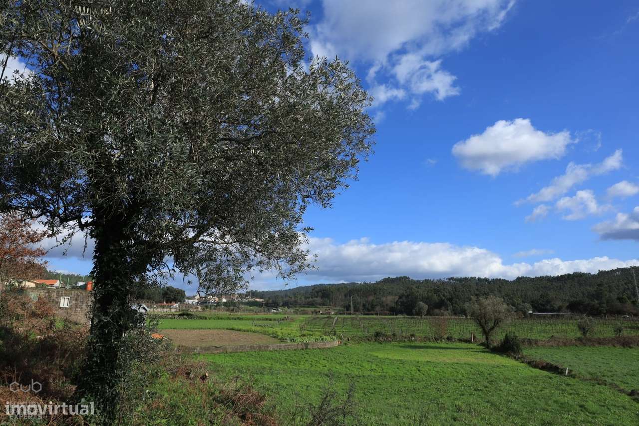 Quinta dos Moinhos - T4 de 7.100 m² de terreno em Penafiel para VENDA-11