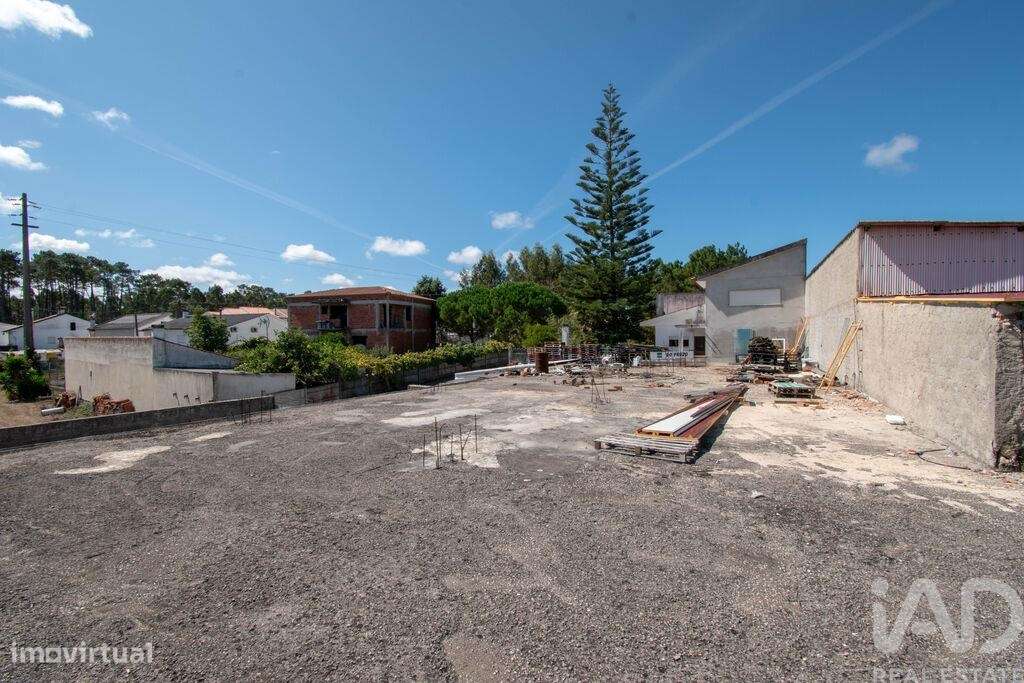 Terreno Agrícola em Marinha Grande - Grande imagem: 4/6