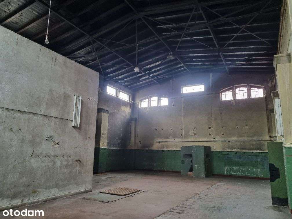 Hale do wynajęcia ul.Równa 240m2 - Pełny obrazek: 2/2