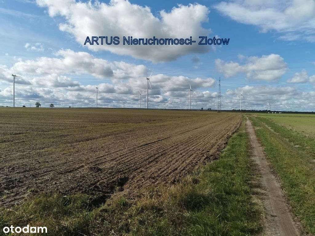Działka przemysłowo-usługowa - Blękwit gm. Złotów - Pełny obrazek: 5/17