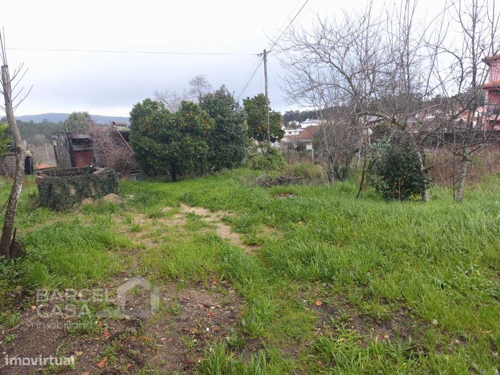Lote de terreno em Rio Covo (Santa Eugénia) - Barcelos - Grande imagem: 2/5