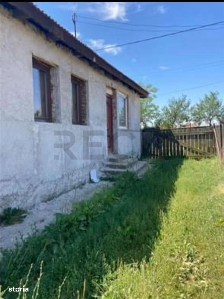 Reco  Teren 5800 mp in Ghenetea | Strada asfaltata recent - Imagine principală: 5/11