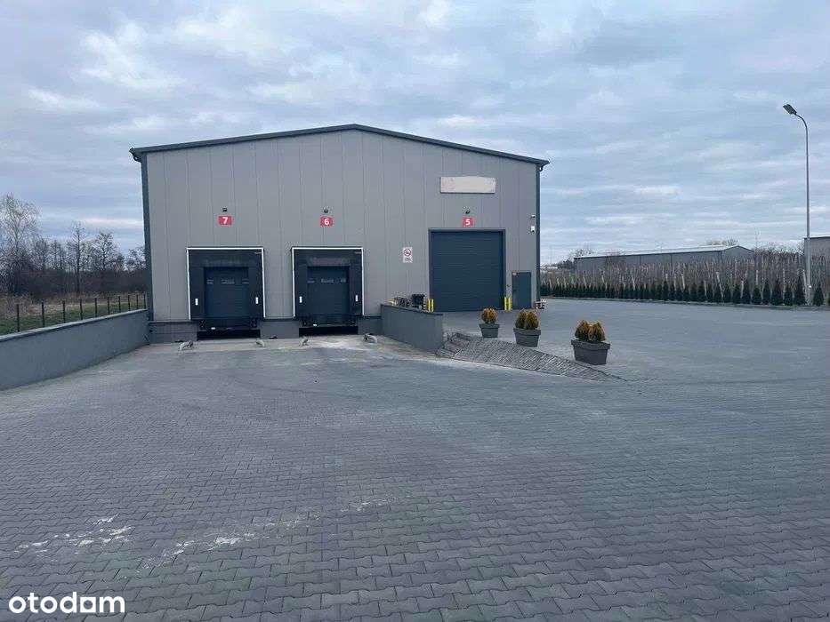 Magazynu z obsługą, miejsc paletowych, cross-docki - Pełny obrazek: 5/5