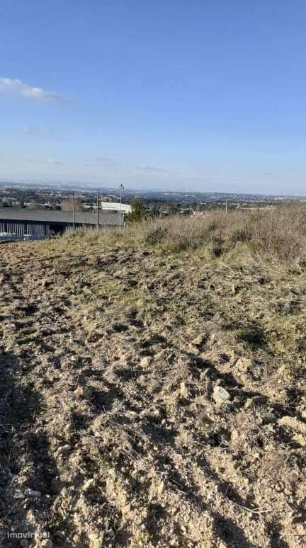 Azeitão Terreno 65000 M2 bom para plantação vinha. - Grande imagem: 5/10