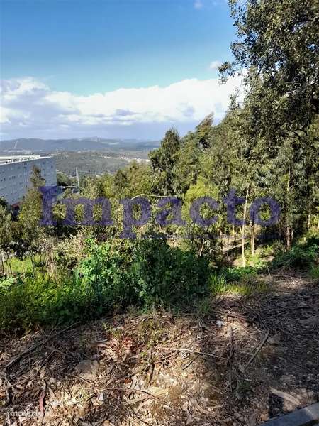 Terreno Rústico em Crestuma, Vila Nova de Gaia - Grande imagem: 5/13