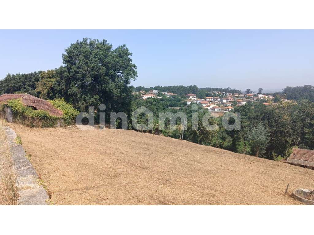 Novidade - Santo Tirso! T3 Duplex-6