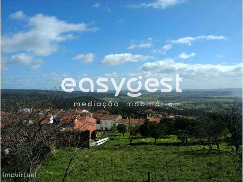 Fabulosa quinta com uma casa senhorial em Vila Velha de Rodão - Grande imagem: 3/35