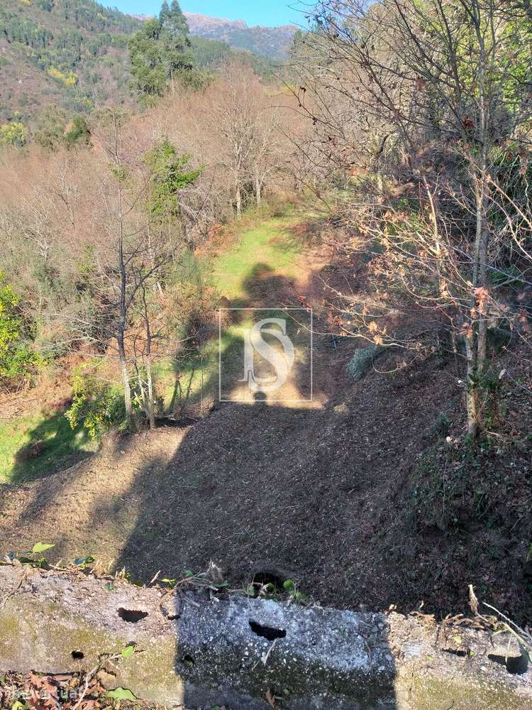 Terreno  Venda em Louredo,Vieira do Minho-7