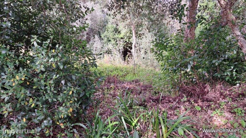 Terreno, 562 m², Leiria, Pousos, Barreira e Cortes - Grande imagem: 3/9