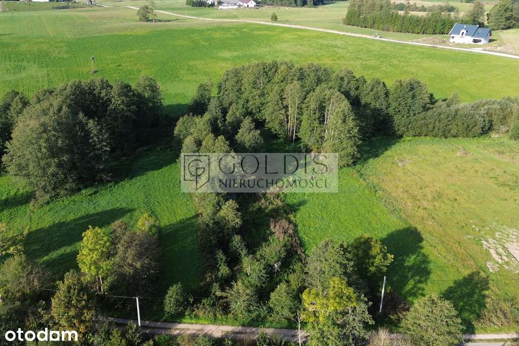 Budowlana nad rzeką w Olszance - Pełny obrazek: 5/9