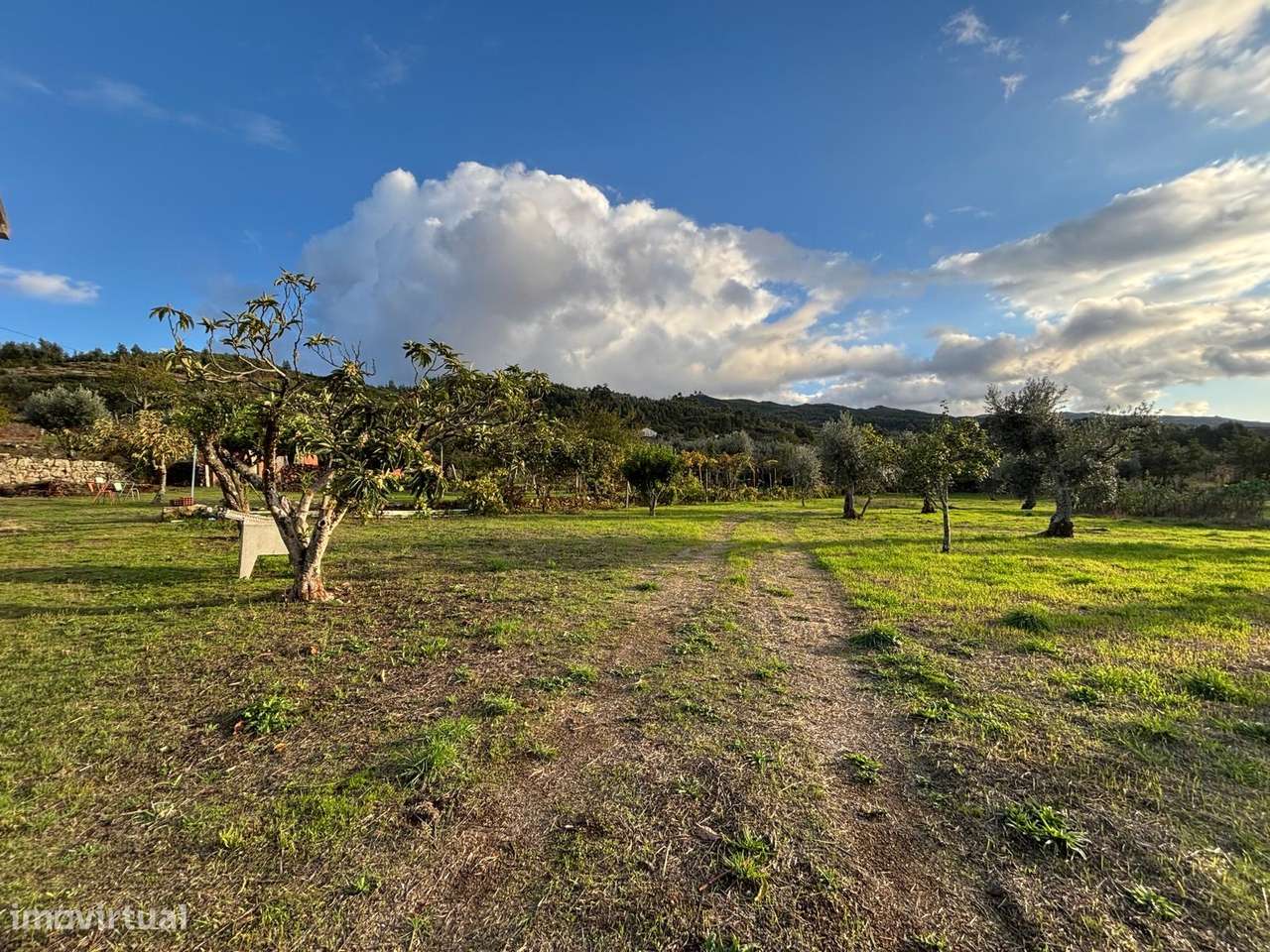 Quinta T3 Venda em Santa Marinha e São Martinho,Seia-11