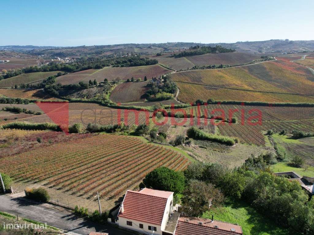 Moradia Rustica inserida numa Magnifica Paisagem Vinícola-7