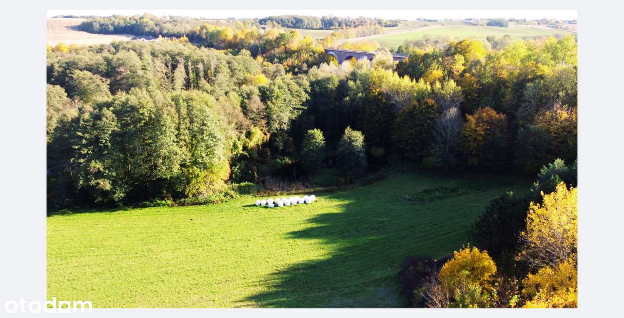 Siedlisko na wzgórzu, dom 132 m², 3,09 ha | Buszkowo - Pełny obrazek: 4/20