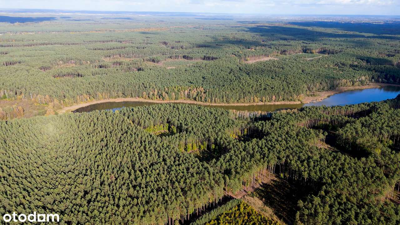 84zł za m.kw. Janczewo działka budowlane niedaleko lasu i jeziora-4