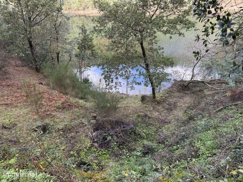 Terreno em Louredo, Vieira do Minho - Grande imagem: 5/12