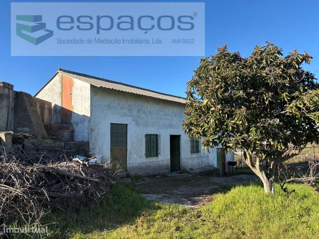 Quintinha a cinco minutos do centro de Castelo Branco - Grande imagem: 4/17