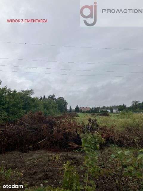 Działka, Mileszki, Pomorska 451 - Pełny obrazek: 4/4