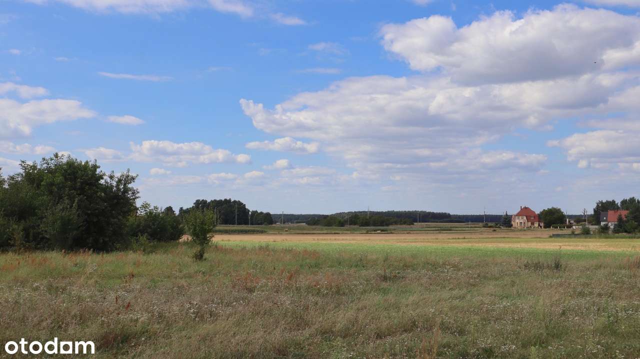 Działka inwestycyjna 53 ary – możliwość podziału, atrakcyjna lokalizac-4