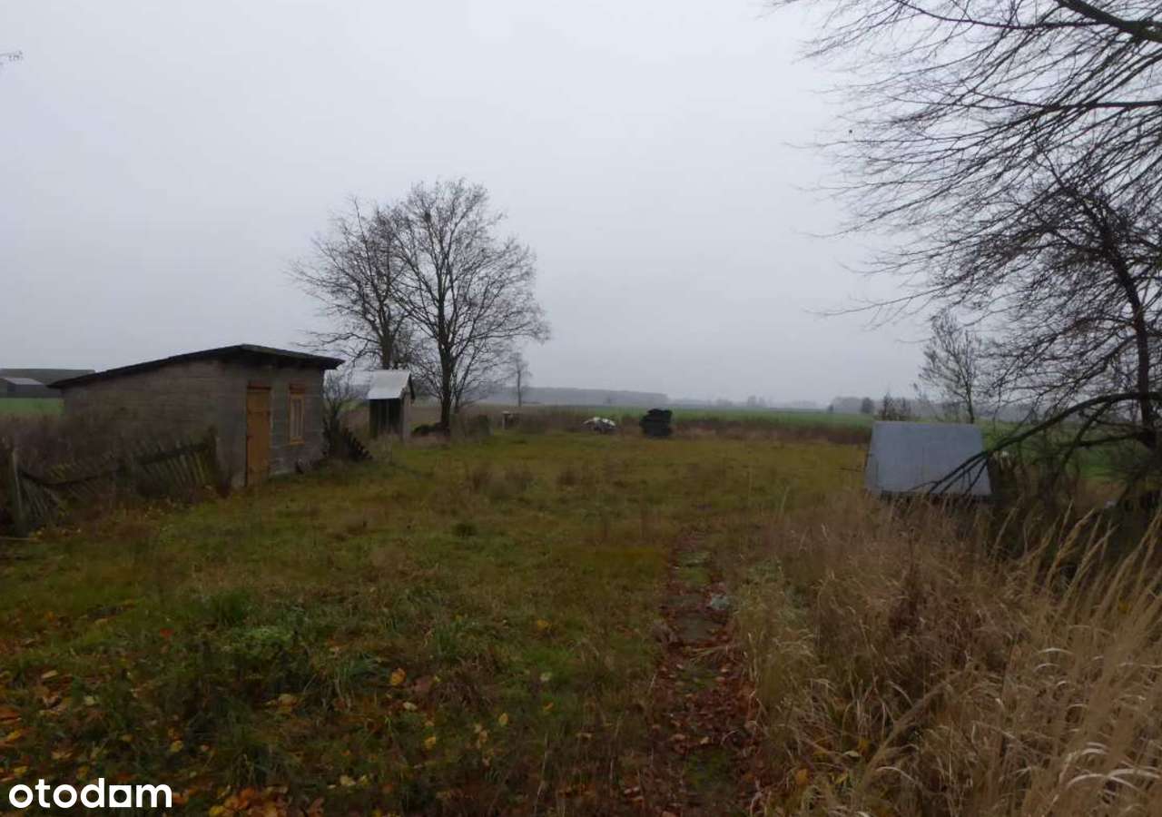 Uroczy drewniany domek, siedlisko, duża działka - Siedlanów 21-300-3