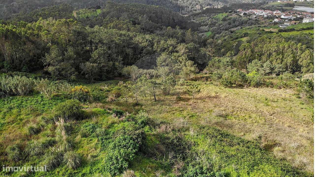 Quinta T4 para venda - Grande imagem: 4/35