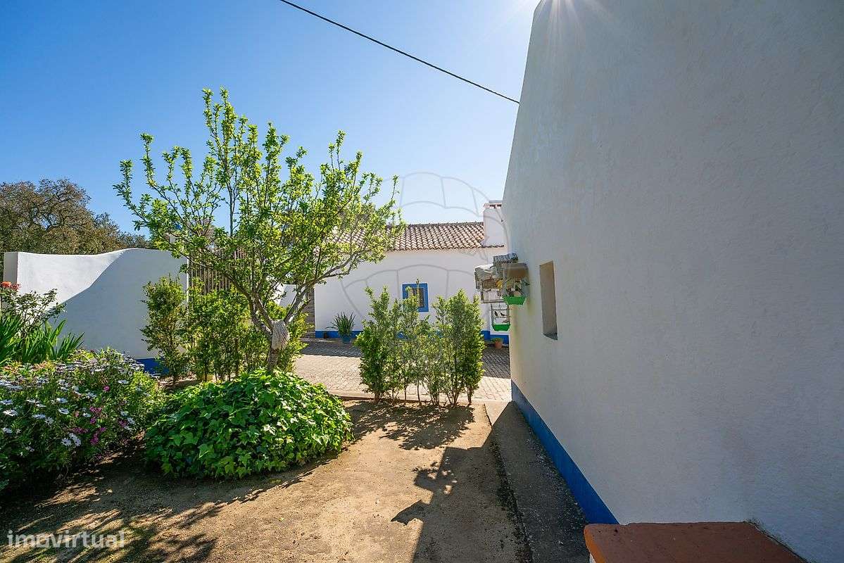 Quinta T6 para venda-35