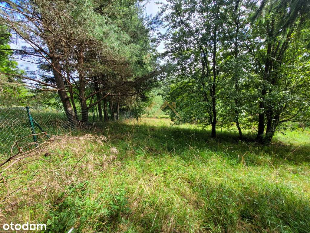 Grunt kilkadziesiąt m od Jez. Szelment | Prywatnie-9