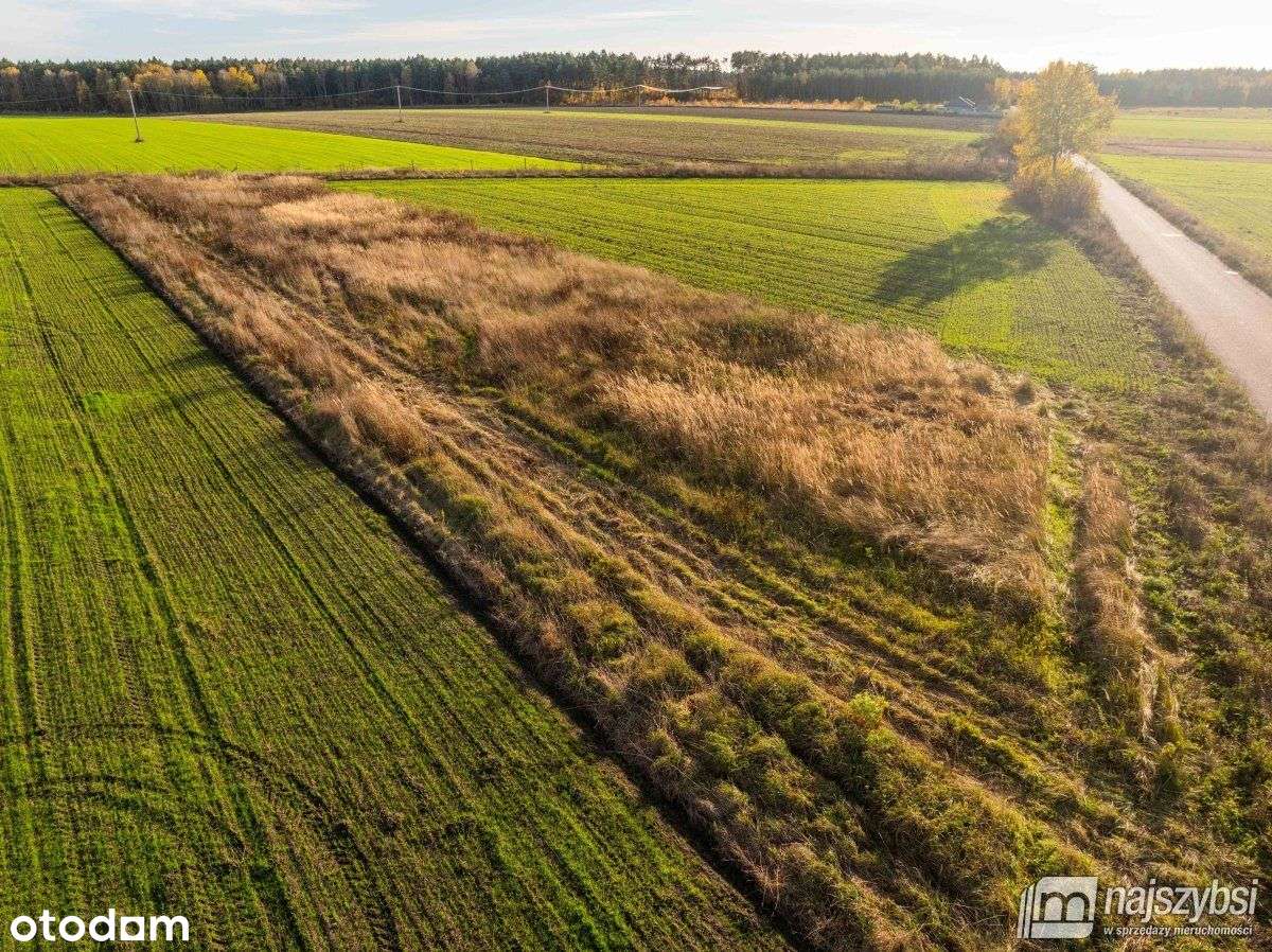 Glewice - atrakcyjna działka 2777m2 - Pełny obrazek: 2/8