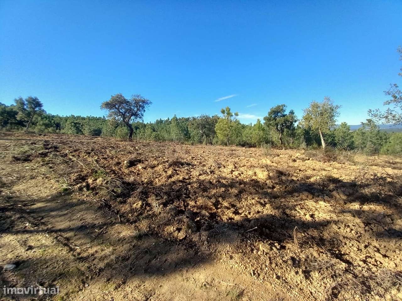 Terreno rustico com 16940m2-Sarnadas de Rodão - Grande imagem: 4/17