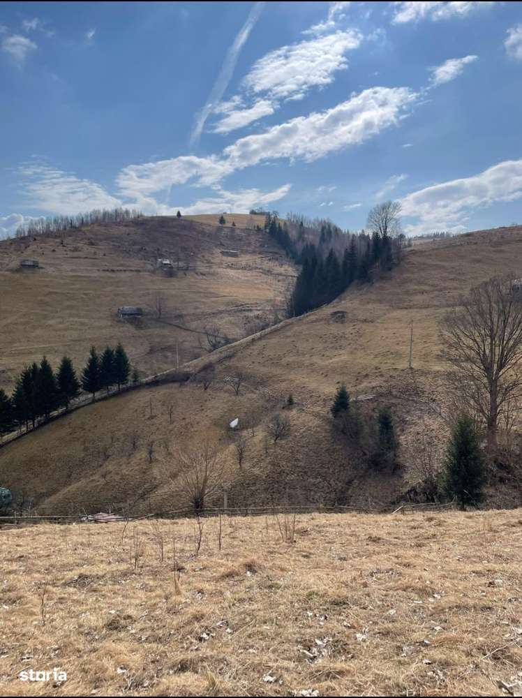 Teren Cu Potential De Dezvoltare În ZONA TURISTICĂ MAGURA-PESTERA-13