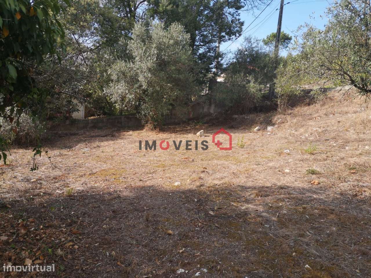 Terreno | Construção| Chainça-4