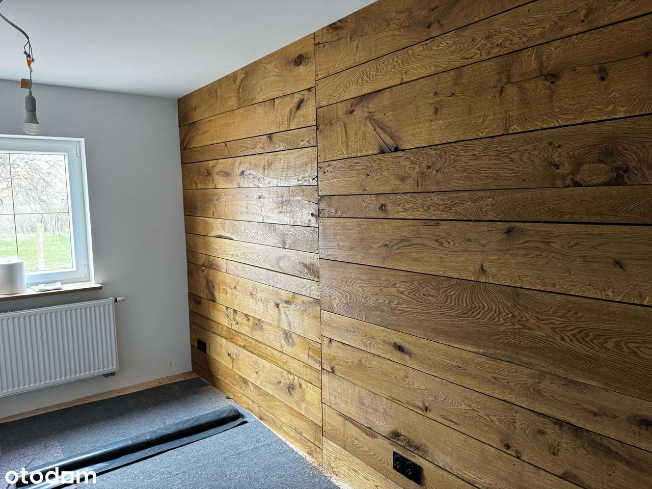 Siedlisko z działką 1,42 ha - Pełny obrazek: 5/9