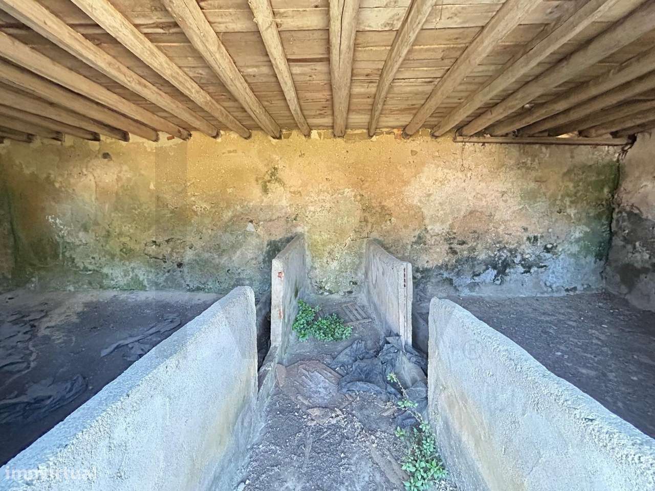 Oportunidade no coração de Alcoentre - Grande imagem: 4/8