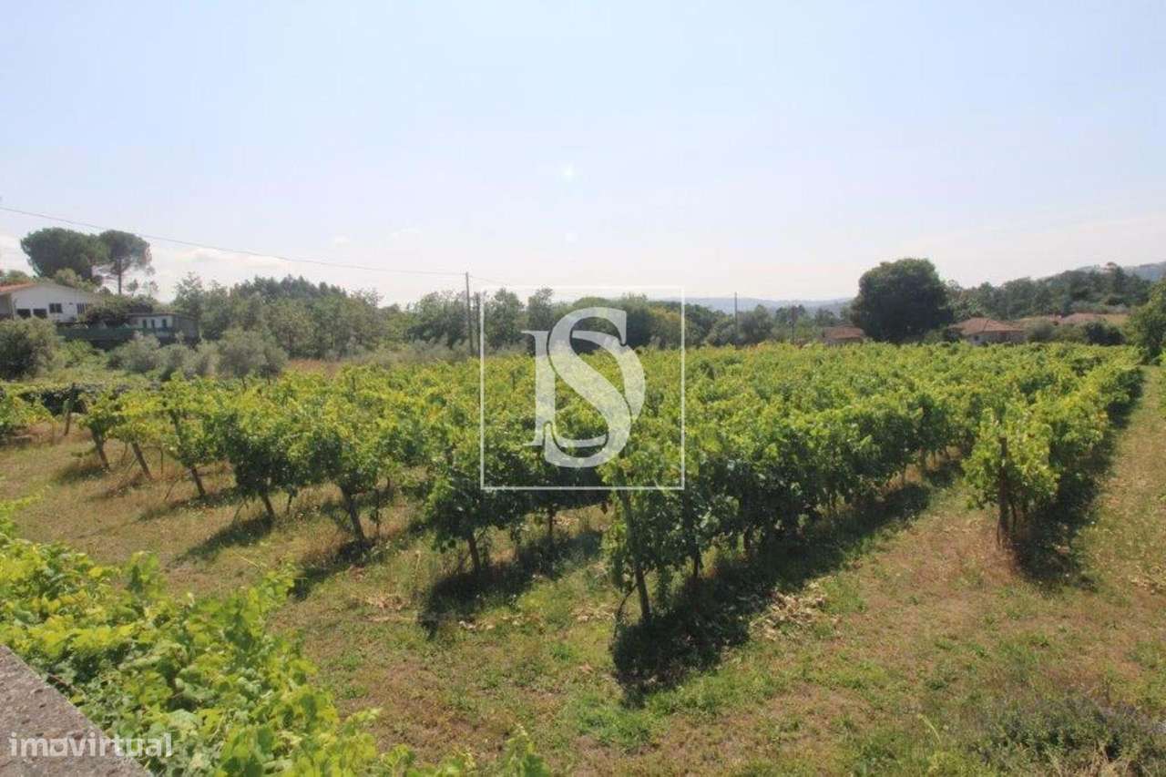 Terreno Não definido em Salvador do Monte - Grande imagem: 5/10