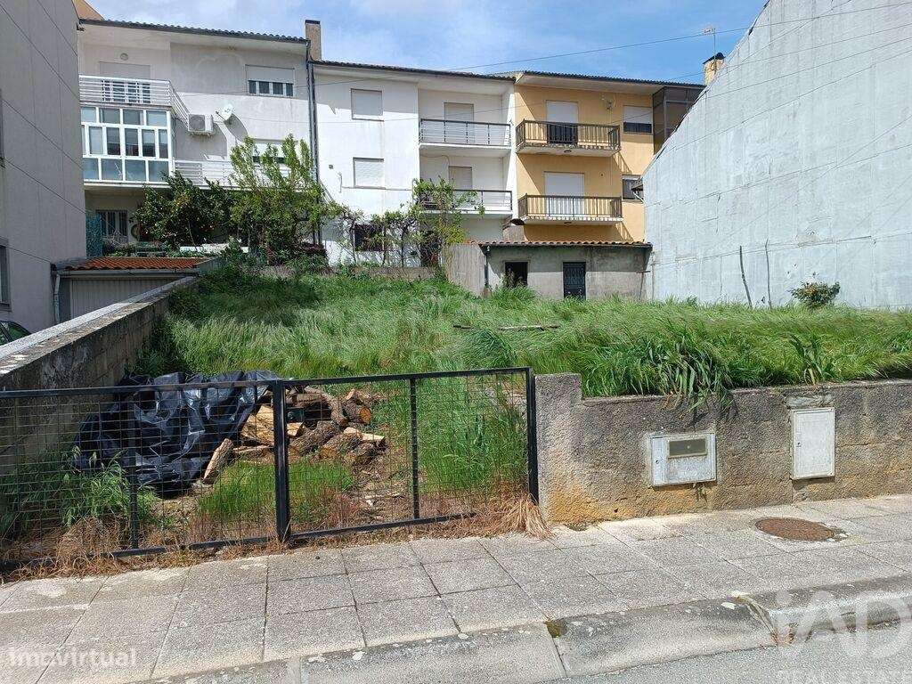 Terreno para construção em Mogadouro, Valverde, Vale de Porco e Vilar - Grande imagem: 5/11