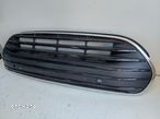 Mini Cooper atrapa grill - 3