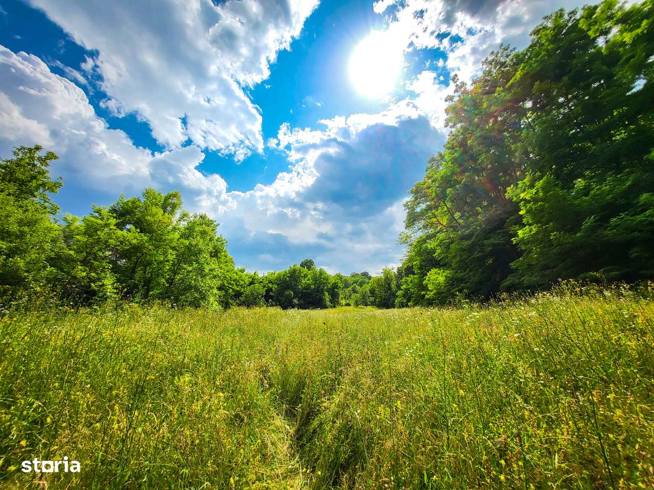 Teren 11700 mp în Valea Lungă, o oază de liniște, aer curat, verdeață - Imagine principală: 4/4