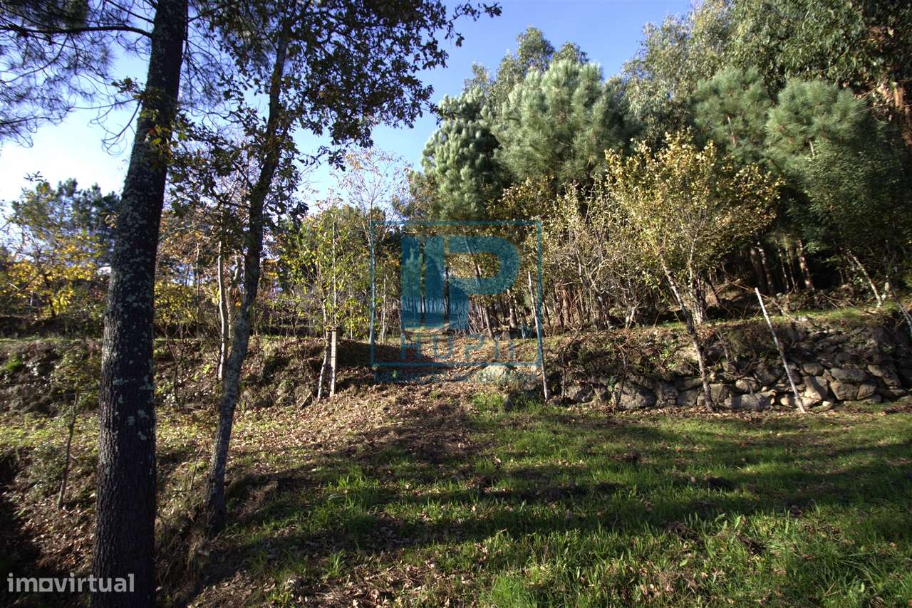 Quinta T3+1 Venda em Penhalonga e Paços de Gaiolo,Marco de Canaveses-44