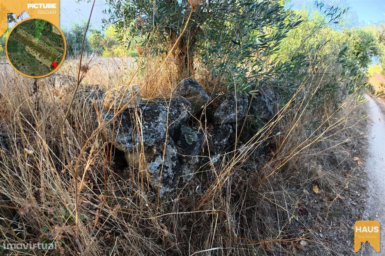 Terreno Rústico 2.300m² c/ Muros de Pedra – Juncal do Campo-20