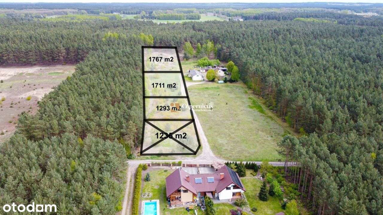 Działka blisko lasu, cisza i spokój! Bez prowizji. - Pełny obrazek: 5/7