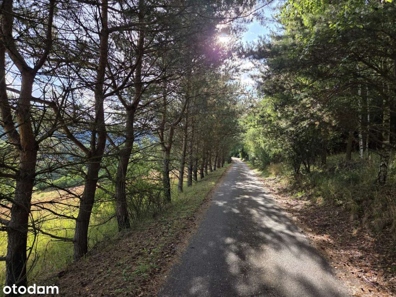 Dom, 70 m², Radków-19