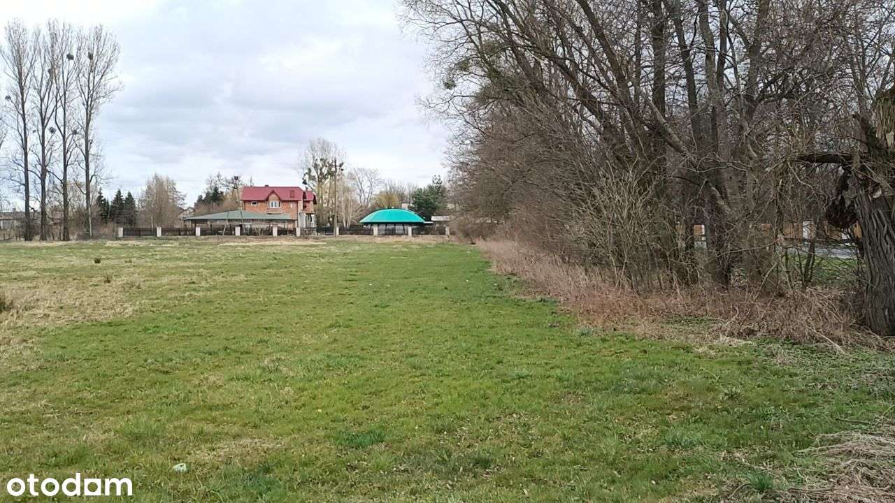 Działka bud-usł (MPZP) naprzeciwko Pałacu Radziwiłłów w Nieborowie - Pełny obrazek: 5/11