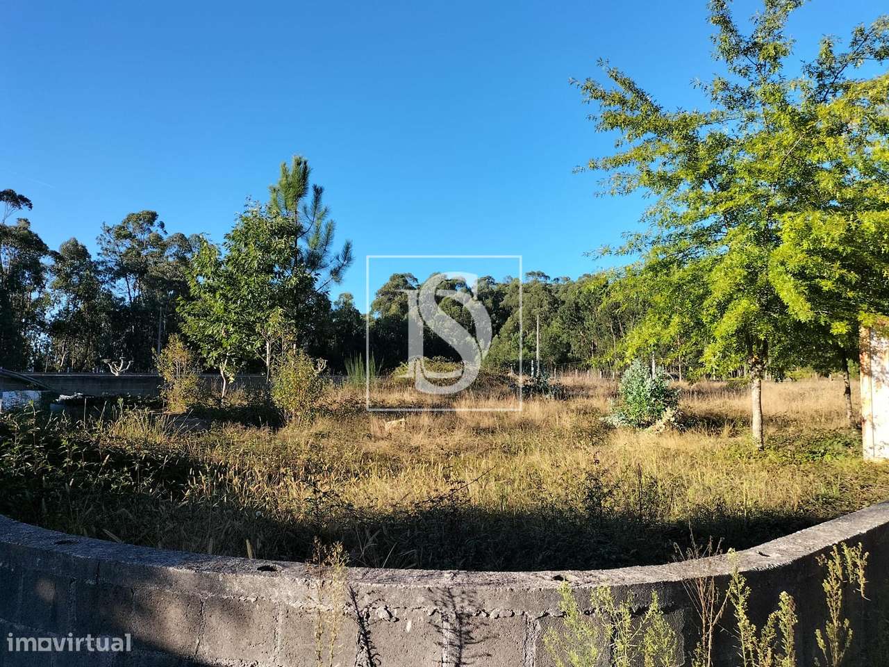 Terreno  Venda em Remelhe,Barcelos-5