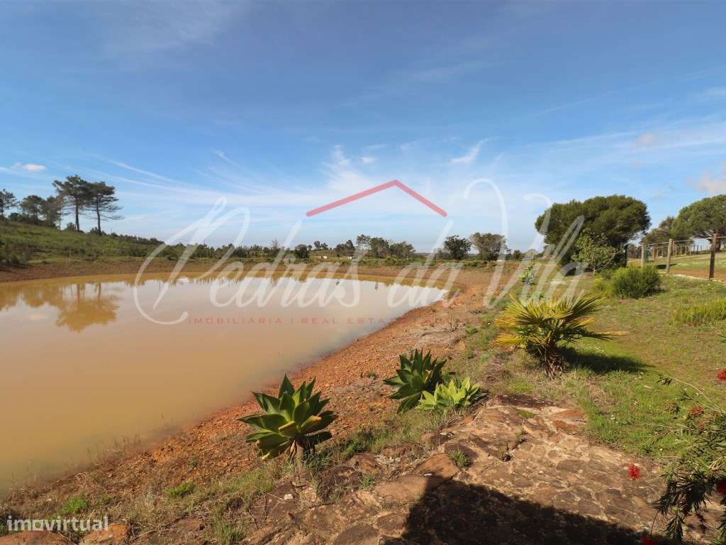 Quinta com 6,5ha em Vale Juncal - São Teotónio-48