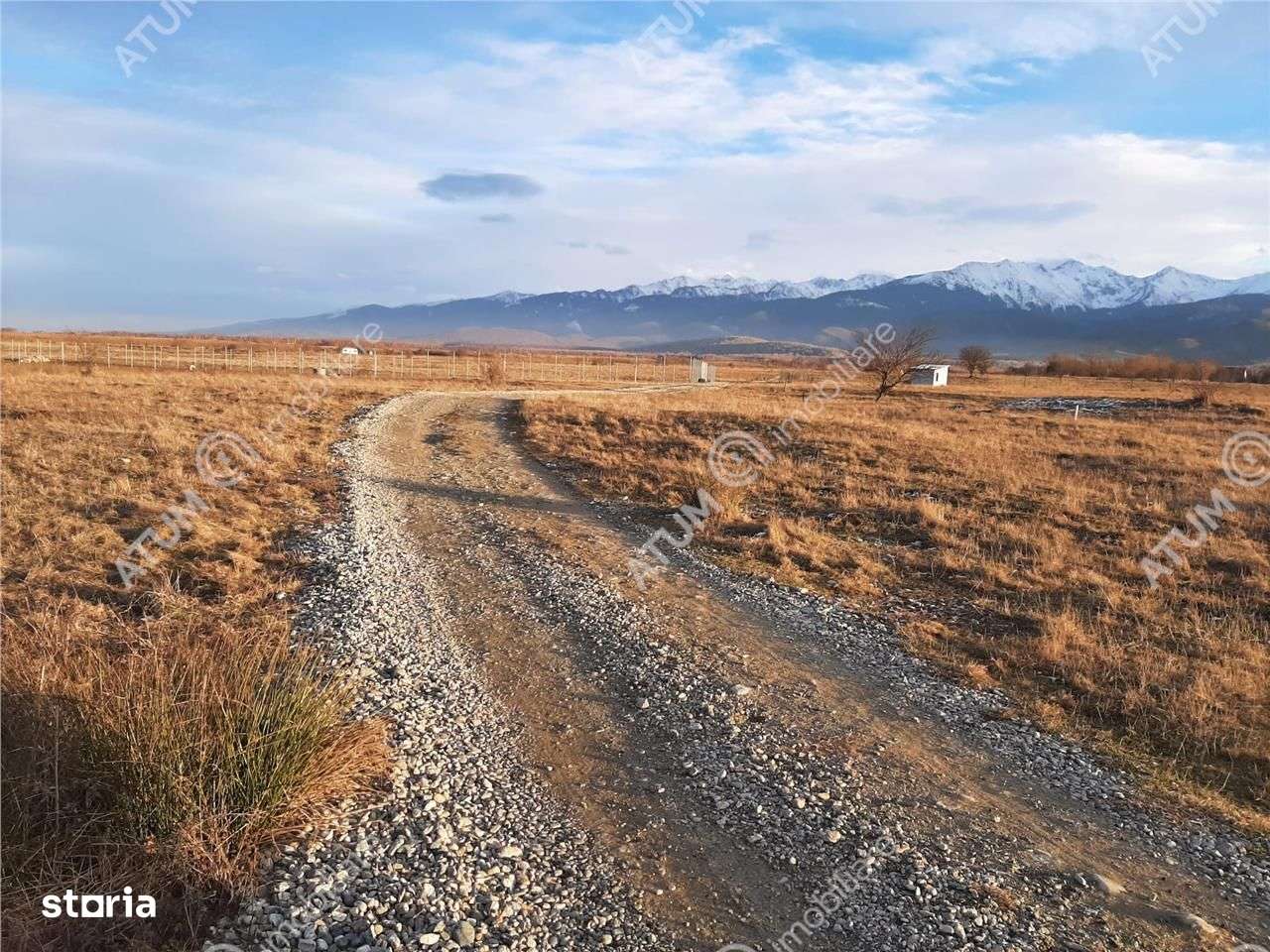 Teren extravilan 8400 mp de vanzare pe Valea Avrigului - Imagine principală: 4/4