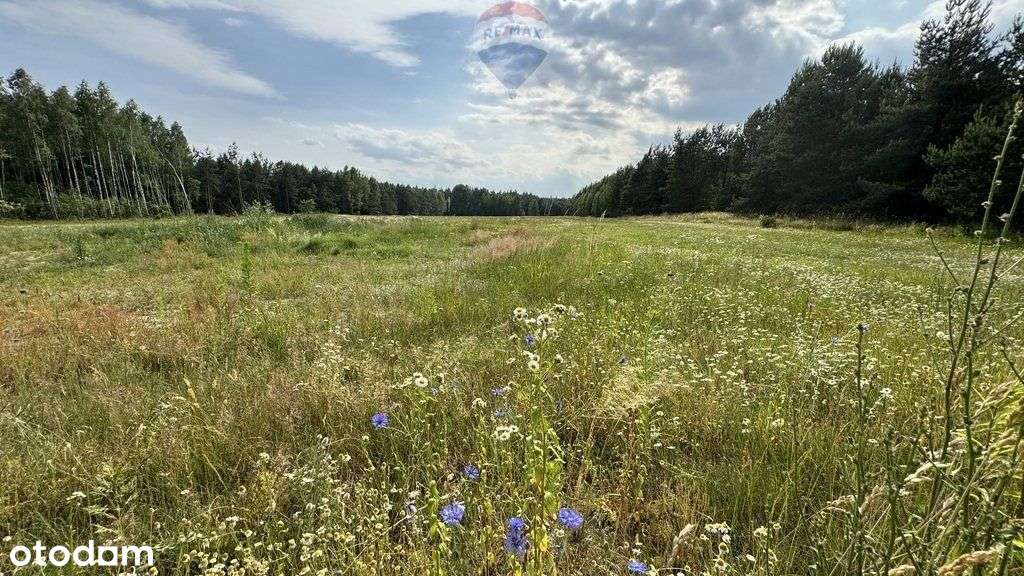 Atrakcyjna działka budowlana w otoczeniu lasu. - Pełny obrazek: 5/9