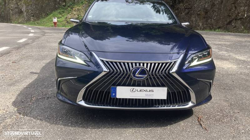 Lexus ES 300h Luxury+ - 8