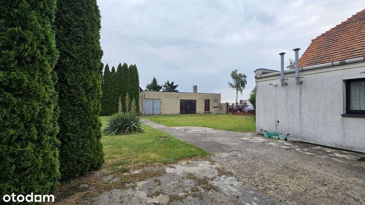 Dom (100 mkw.) Działka (3 854 mkw.) Michalin, Buk-5