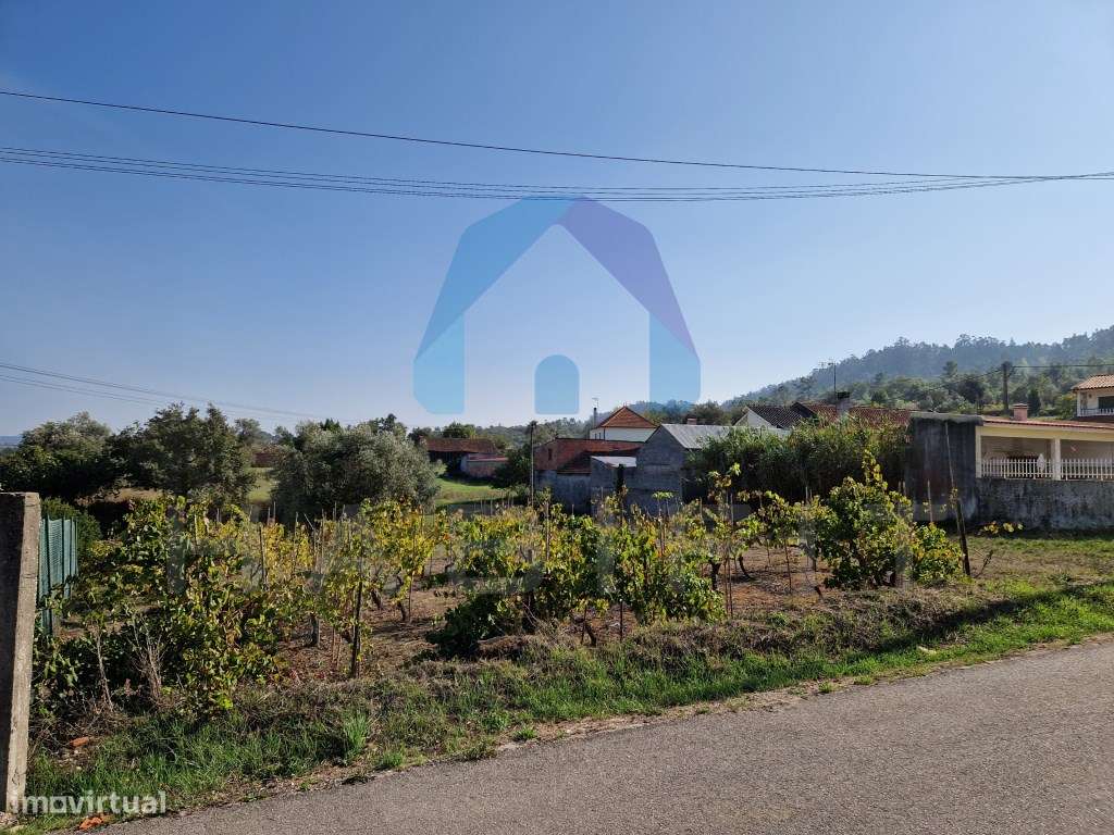Terreno com Viabilidade de Construção - Pombal-3
